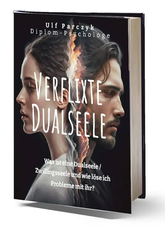 EBookCover "Verflixte Dualseele"